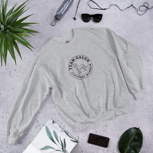 TEAM GALGO - sweater